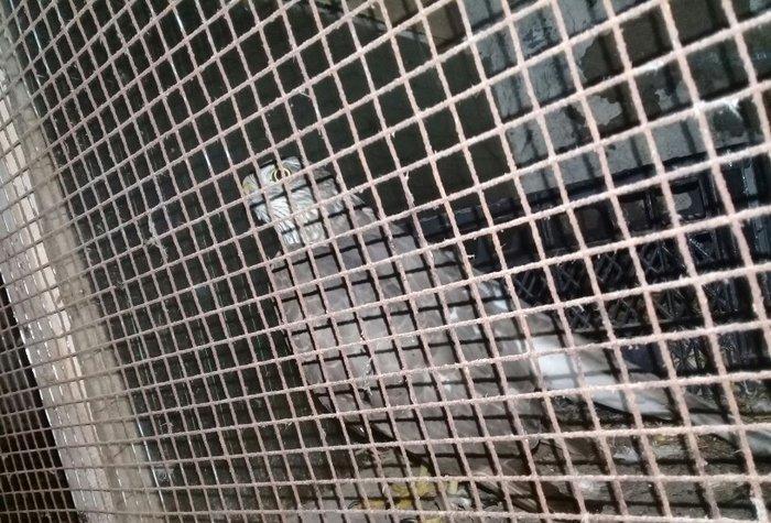 Sahin quwu vehwi quwdu saxlamaqa vaxtim yoxdu. Qiymetde awagi yeri va