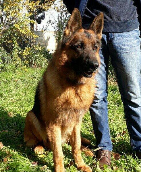 satlir elevae mellumat ucun whatsap ve ya telde elaqe saglaya bilersiz