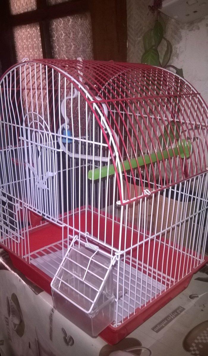 Quş ücün   + su qabı və yem qabı
15 man   əla vəziyyətdə     yeni