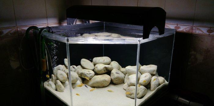 1) 160 litr akvarium. 2)3338 Atman biofilteri.