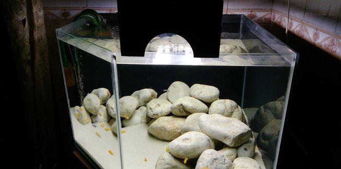 1) 160 litr akvarium. 2)3338 Atman biofilteri.