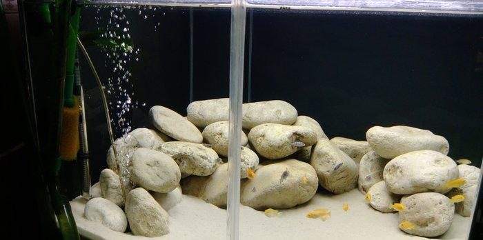 1) 160 litr akvarium. 2)3338 Atman biofilteri.