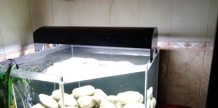 1) 160 litr akvarium. 2)3338 Atman biofilteri.