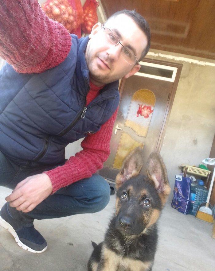 Ovcarka satilir  Sentiyabrin 6 si anadan olub Diwidi (QIZ) TEMIZ QANDI