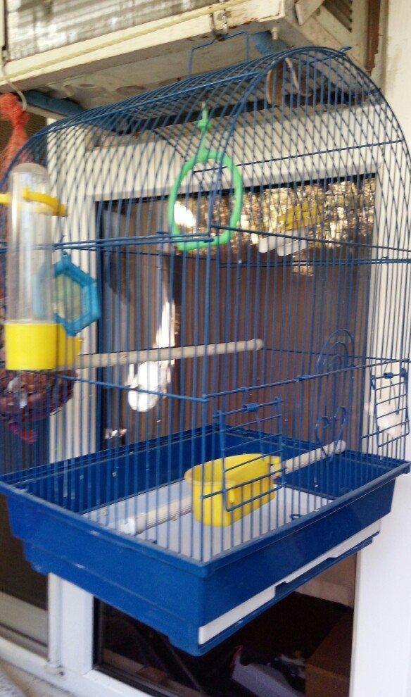 клетка для птиц использовалась мало кормушка и поилка прилагается .gus