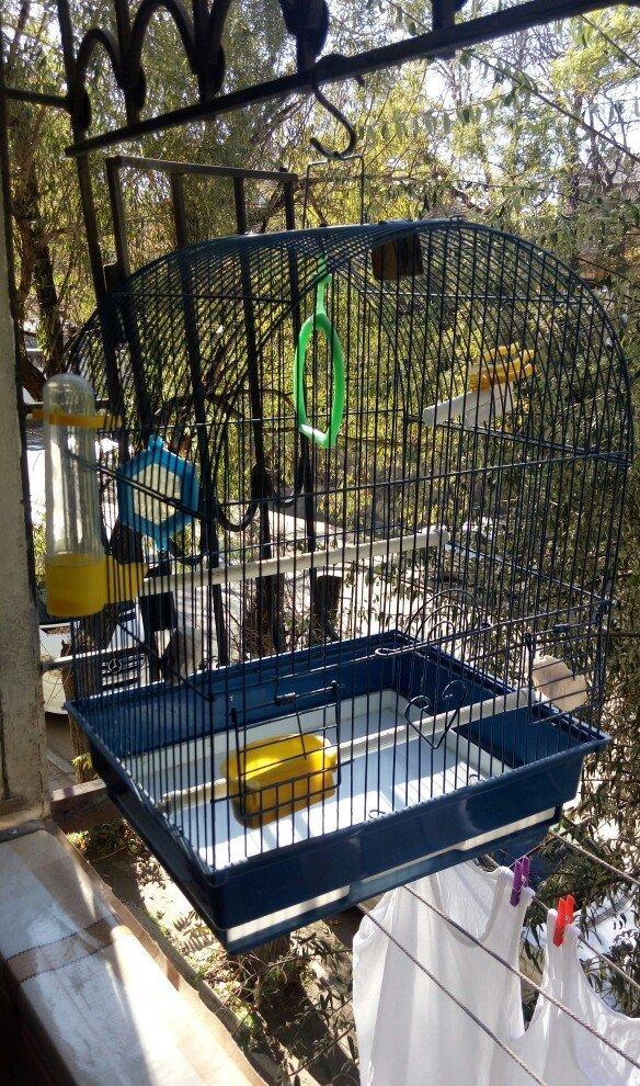 клетка для птиц использовалась мало кормушка и поилка прилагается .gus