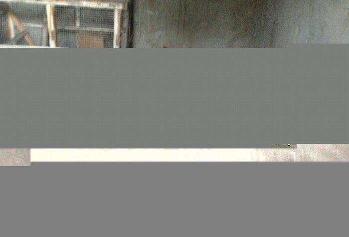 Yaponka cutu 30 manat hal hazirda yumurtlayir elaqe  ucun whatsap 0516