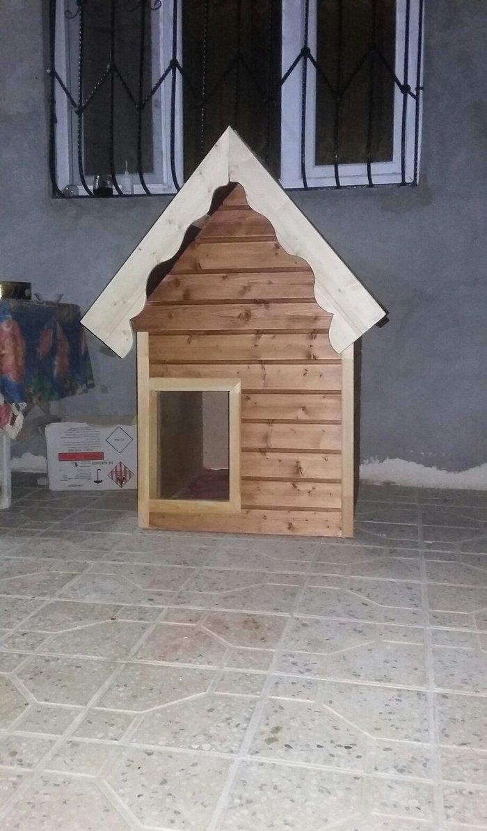 It ucun yuva ici izalasiya olunub normal it rahat yerlewer icine. Bawq