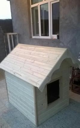 t yuvasi. teze yigilib ici opwivka olunub penapilas falqa. yeri poldu