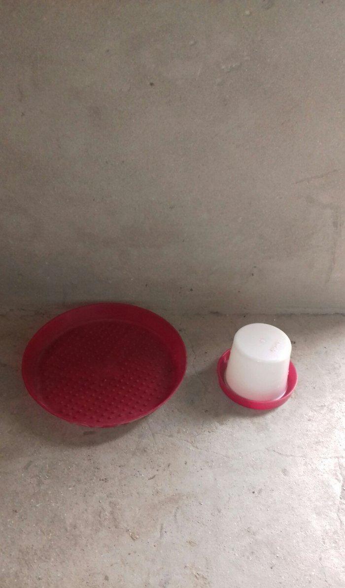 Broller  toya cuce yem 've su qablari ( kicik 've balaca ) satilir qiy