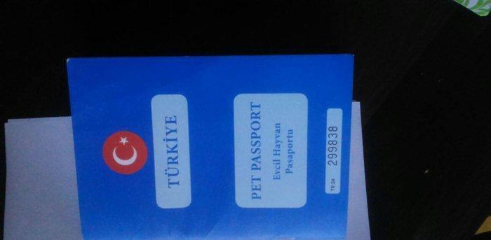 Türkiyədən gəlib passportu var 09. 06. 2017 doğulub. Dermanları, yemi