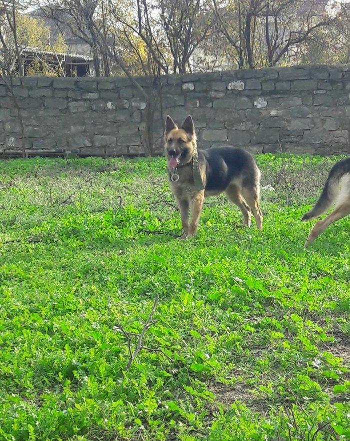 Salam tecili satilir xarice gedirem ona gore bala vaxtindan ozumde olu