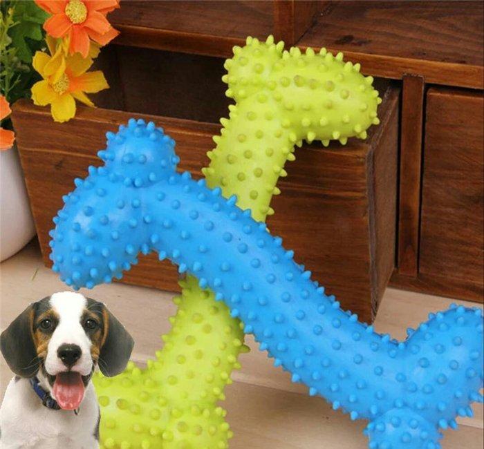 it ve piwikler ucun istediyniz mehsulu onlayn olaraq bizden elde ede b