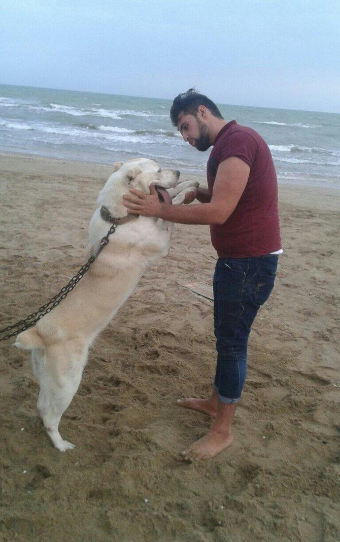 Temiz turkmen alabayidi 9_ayligdi iwimnen elageder gedirem diye satira