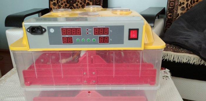 Inkubator ela veziyetdedi tam aftamatiqdi 72 eded toyuq yumurtasi tutu