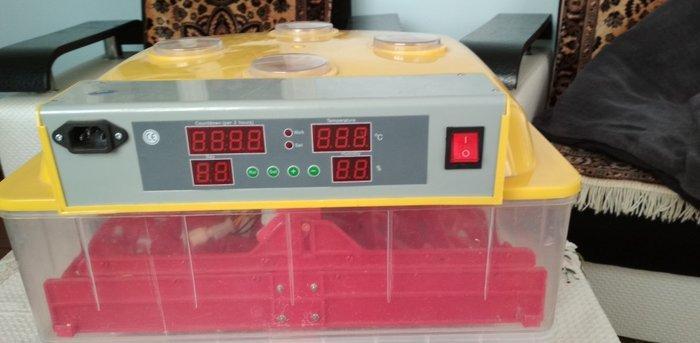 Inkubator ela veziyetdedi tam aftamatiqdi 72 eded toyuq yumurtasi tutu