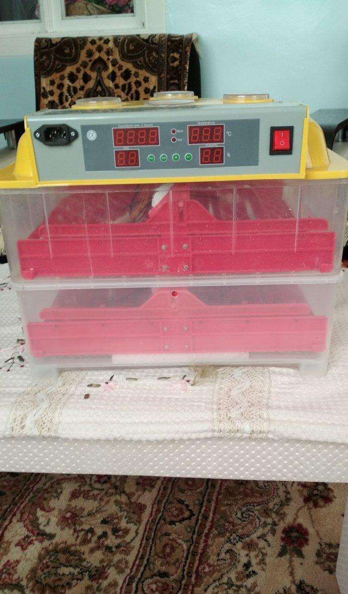 Inkubator ela veziyetdedi tam aftamatiqdi 72 eded toyuq yumurtasi tutu