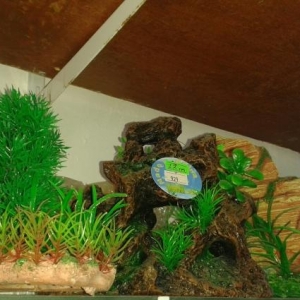 Akvarium aksessuarlari satilir