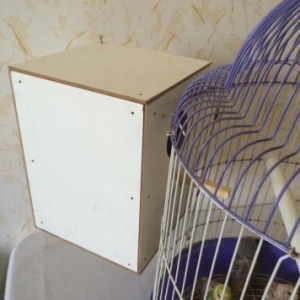 3 fere 1 xoruz orjinal