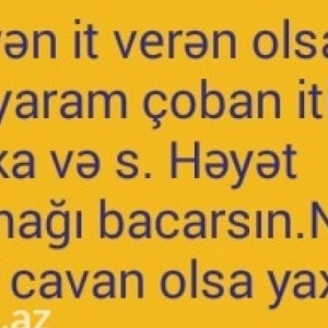 bunan əvvəl afçarka,rotveiler və çoban itim o