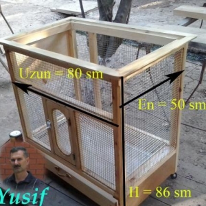 Korella popuqaylari+qefes