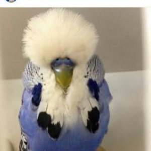 \topdan ve perakende satis.... Zoo