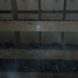 Quş damı satılır