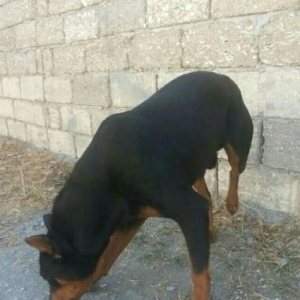 Dűnen gece itim ış yoldaşımın evinden kűce 