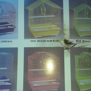 topdan qiymetlerle zoo magaza