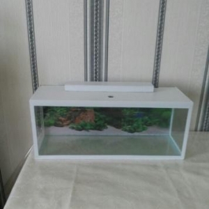 münasib qiymətə akvarium