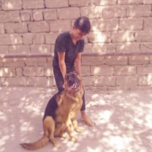 cut vurmaga afcarka axtarilir mendeki erkeydi disi