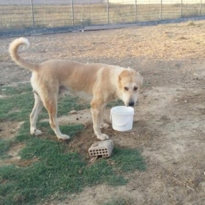 ciddi olmayan narahat etməsin