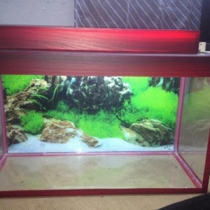 Akvarium teze 33 litre