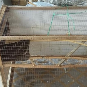 Самодельная клетка,с гнезд�