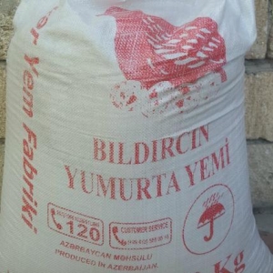 Yumurtlayan Bildirçinlər