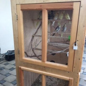 papuqay qefesi ozumuz yigdirmiwiq icinde dort dene