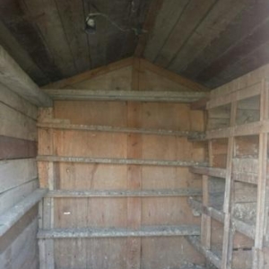 iki dånå göyercin yuvasi satilir.