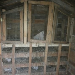 iki dånå göyercin yuvasi satilir.