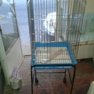 ZOO SHOP..TOPDAN QIYMETLER