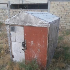 iki dånå göyercin yuvasi satilir.