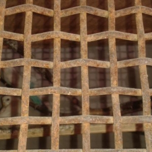 Valsbet satilir tecili