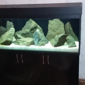 Tecili Akvarium satilir