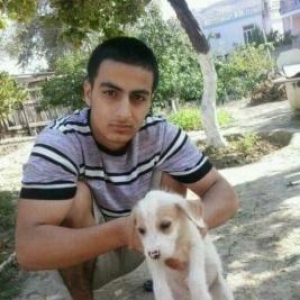 1 aylığın keçib super itdi sakitdi Zvanok mode