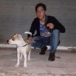 temiz alabay balasi baladi iyne dermanida vaxdi va