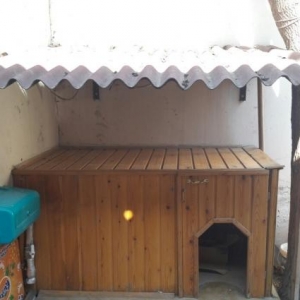 it yuvasi 2 qat pemoplasnsnan yiqilib 2qat 4 luk dik qiraqlari 1.5 lik