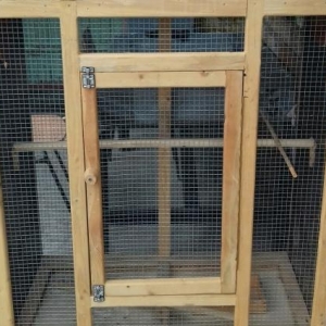 Paquqay qefesi sifarisle yiqilir.