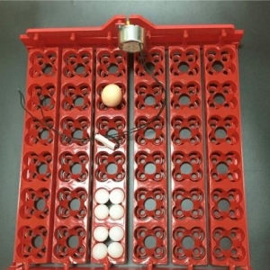 İnkubator üçün 144 yumurtalıq Avtomatik Yumurta fırladan Aparat.İstəyə