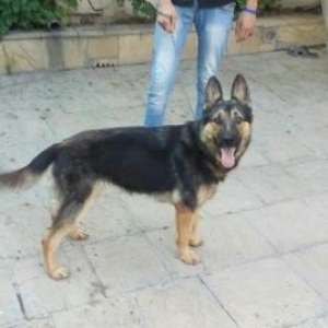 продается немецкая ,европе�