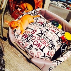 ÇixuaxuaВ продаже наш малыш Чи�