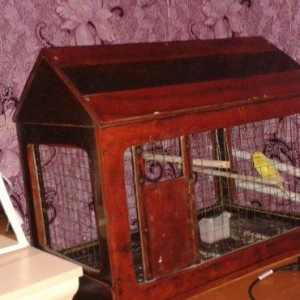 Qefes satilir 30 manata ela veziyetdedi boyuk qefesdi 70 uzunu 60 hund